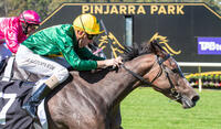Born Spicy wins second-up