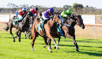 Speedbird lands successive wins