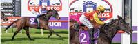 Pearce double at Albany