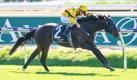 Acromantula goes back-to-back