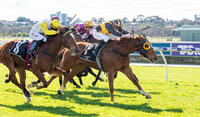 Celebrity Witness wins first-up