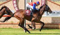 Bright future ahead for Black Fantasy