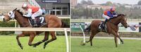 Belmont double for Pearces