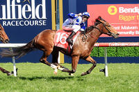 Oaks Dreaming....Harlow Gold chasing Group 1 Feature