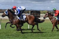 Interstate double and a Track Record as Dalziel Racing continues on its winning ways.