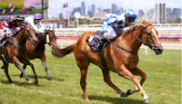 Miss Wonderland targets Magic Millions