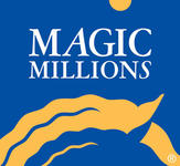 Dalziel Racing secure three yearlings on Day 1 of Magic Millions!