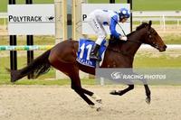 Bring a Rose too strong at Ballarat - take a look, another winner for Dalziel Racing!