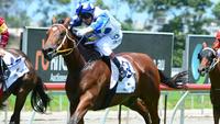 Junction draws wide in $250,000 Inglis Classic