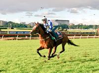 Zahra to ride Harlow Gold in ATC Oaks