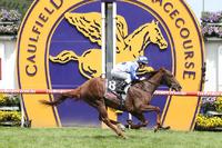 Owners Catch big break at Magic Millions sale