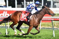 Harlow Gold to tackle another Group 1 Oaks!