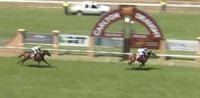 Golden Lustre breaks her maiden in emphatic style! (inc replay and jockey interview)