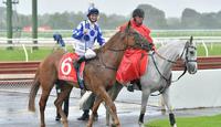 Wet weather Wonderland at Ladbrokes Park