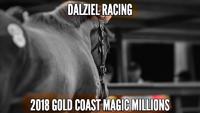 2018 MAGIC MILLIONS VIDEO - EXPRESSIONS OF INTEREST