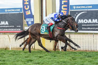 The Master of Echuca