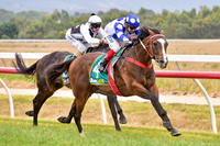 Camp View impressive on debut!