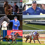 Dalziel Racing and Phillip Stokes Racing Yearling Parade and Pakenham Stable Tour