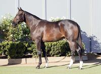 5% DISSIDENT shares only $2780!