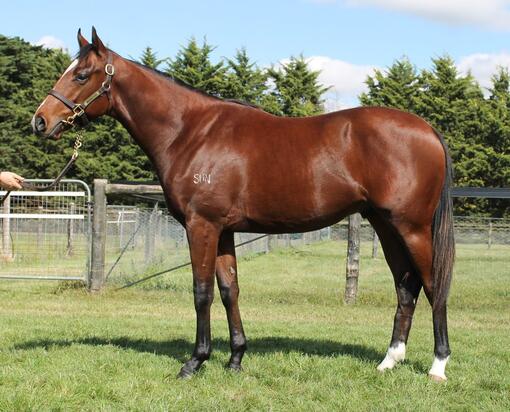 Un-named (Fiorente - Always Discreet)