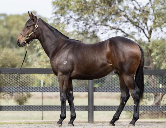 Overshare - Alvilda Colt
