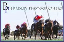 Bradley's Photographers 