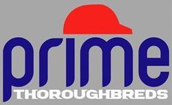 Prime Thoroughbreds